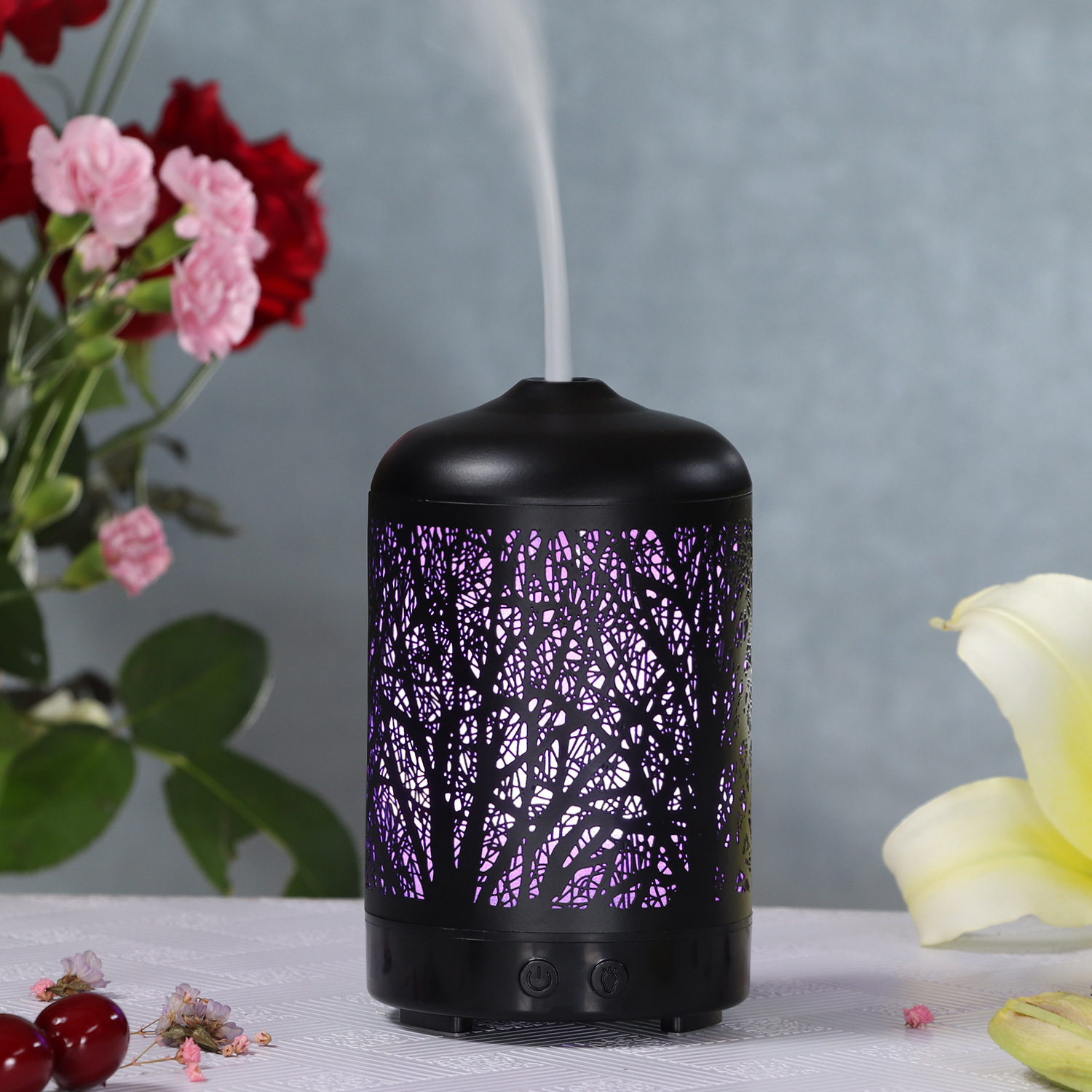 Iron Art Openwork Pattern Air Humidifier Aromatherapy Diffuser Aroma Essential Oil Nebulizer 100ml 