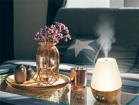 Precautions for Using A Humidifier